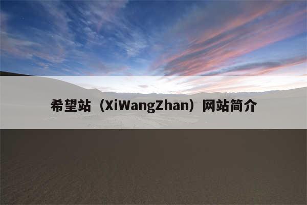 希望站（XiWangZhan）网站简介