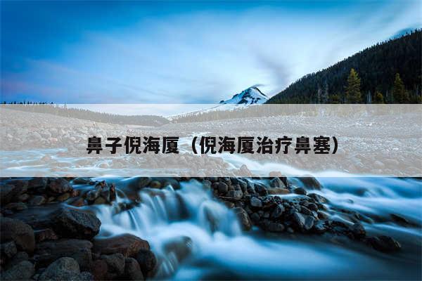 鼻子倪海厦（倪海厦治疗鼻塞）