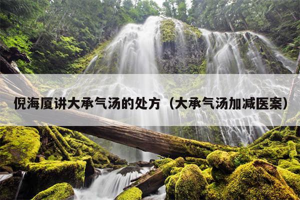 倪海厦讲大承气汤的处方（大承气汤加减医案）