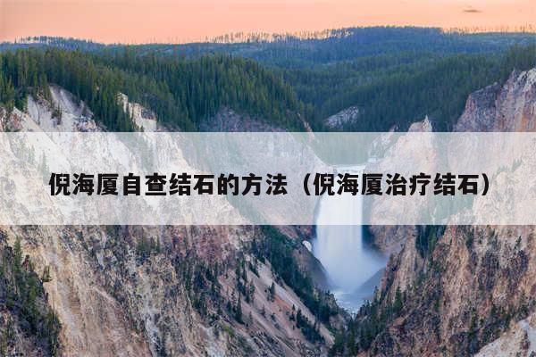 倪海厦自查结石的方法（倪海厦治疗结石）