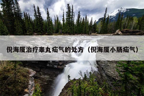 倪海厦治疗睾丸疝气的处方（倪海厦小肠疝气）