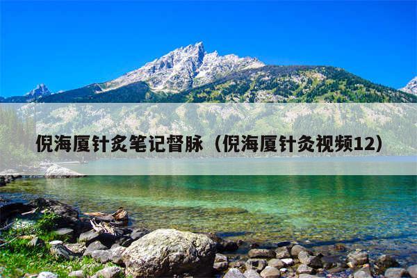 倪海厦针炙笔记督脉（倪海厦针灸视频12）