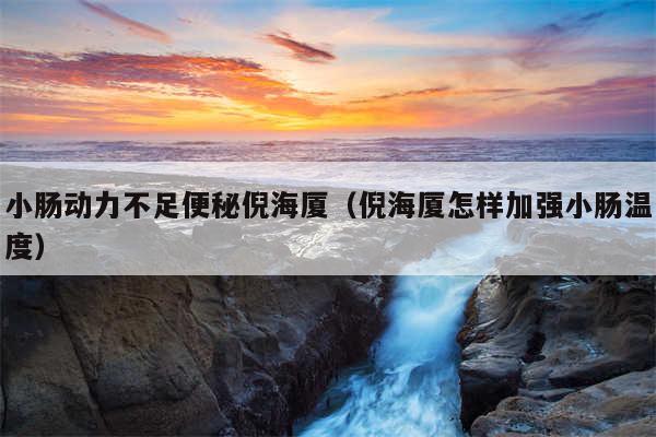 小肠动力不足便秘倪海厦（倪海厦怎样加强小肠温度）