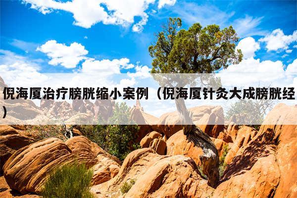 倪海厦治疗膀胱缩小案例（倪海厦针灸大成膀胱经）