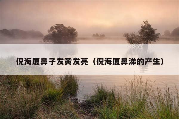 倪海厦鼻子发黄发亮（倪海厦鼻涕的产生）