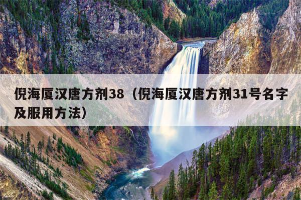 倪海厦汉唐方剂38（倪海厦汉唐方剂31号名字及服用方法）