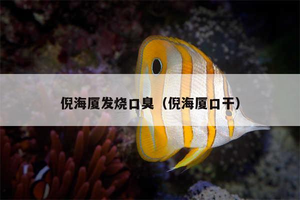倪海厦发烧口臭（倪海厦口干）