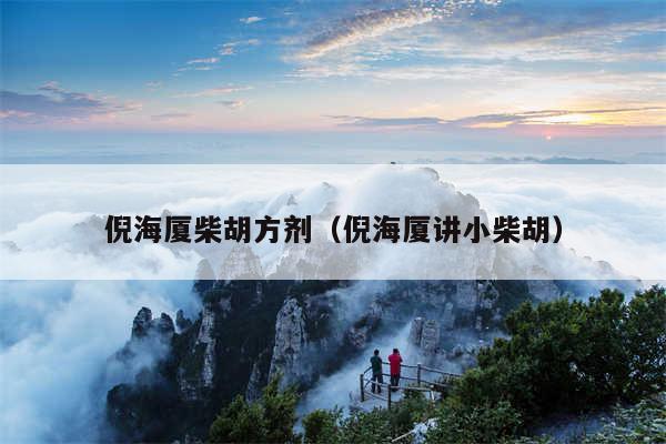 倪海厦柴胡方剂（倪海厦讲小柴胡）