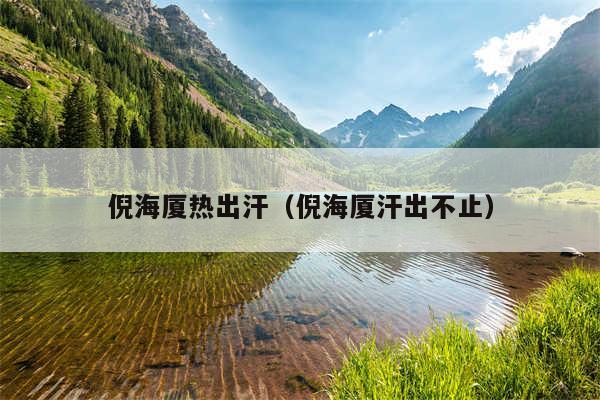 倪海厦热出汗（倪海厦汗出不止）