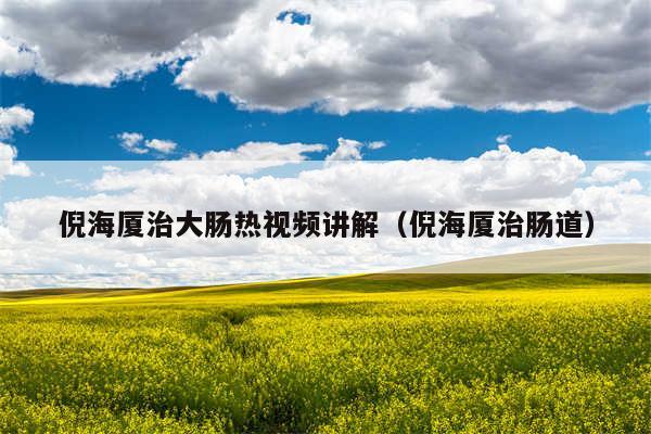 倪海厦治大肠热视频讲解（倪海厦治肠道）