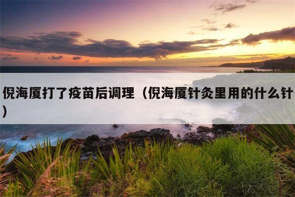 倪海厦打了疫苗后调理（倪海厦针灸里用的什么针）