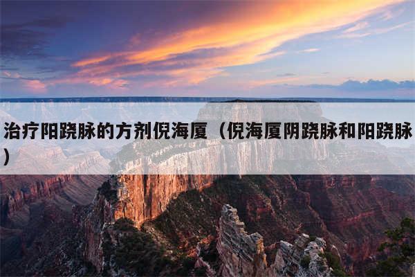 治疗阳跷脉的方剂倪海厦（倪海厦阴跷脉和阳跷脉）