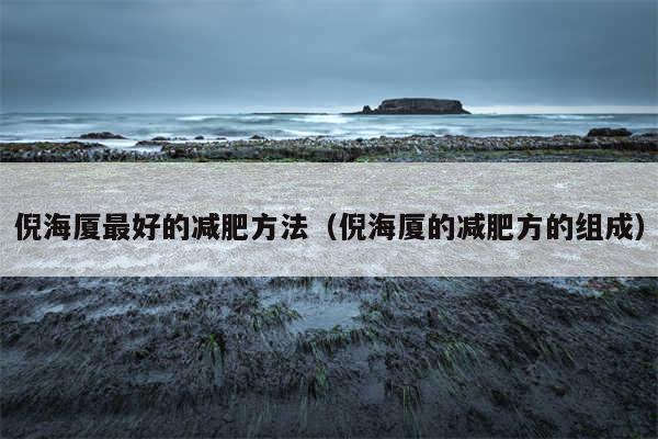 倪海厦最好的减肥方法（倪海厦的减肥方的组成）