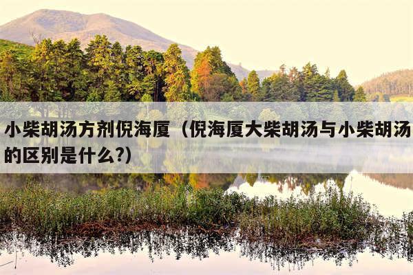 小柴胡汤方剂倪海厦（倪海厦大柴胡汤与小柴胡汤的区别是什么?）