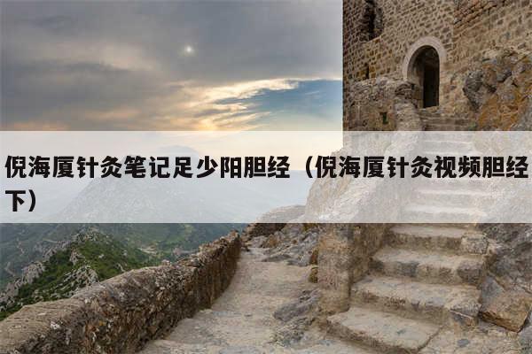 倪海厦针灸笔记足少阳胆经（倪海厦针灸视频胆经下）