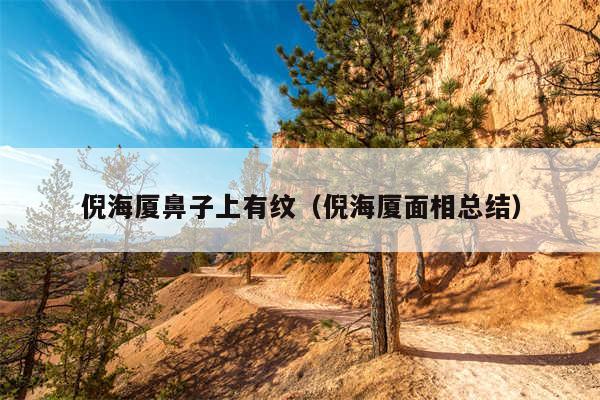 倪海厦鼻子上有纹（倪海厦面相总结）