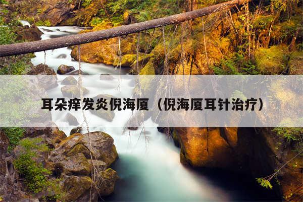 耳朵痒发炎倪海厦（倪海厦耳针治疗）