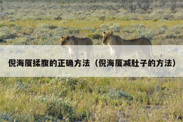 倪海厦揉腹的正确方法（倪海厦减肚子的方法）