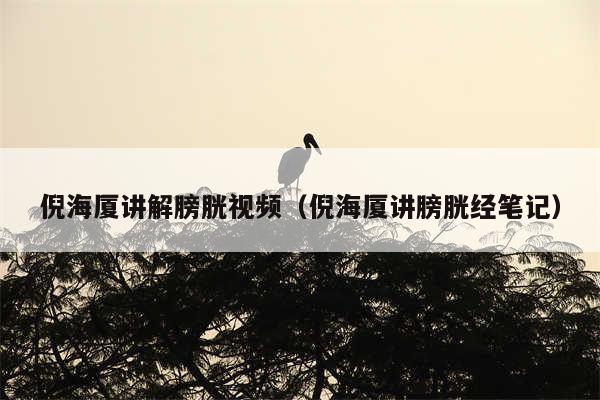 倪海厦讲解膀胱视频（倪海厦讲膀胱经笔记）