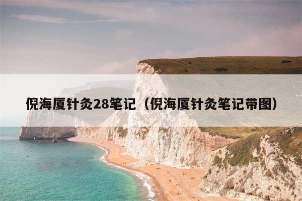 倪海厦针灸28笔记（倪海厦针灸笔记带图）