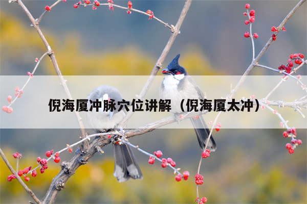 倪海厦冲脉穴位讲解（倪海厦太冲）