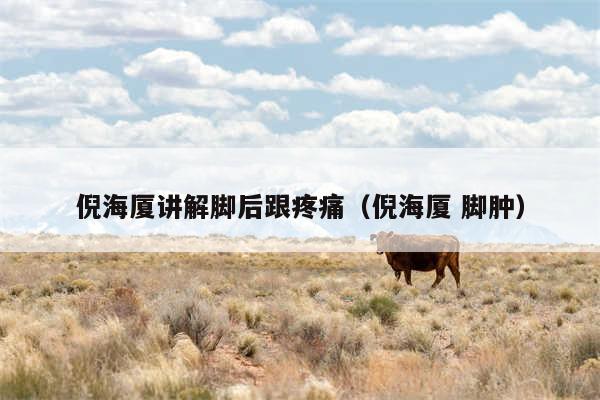 倪海厦讲解脚后跟疼痛（倪海厦 脚肿）