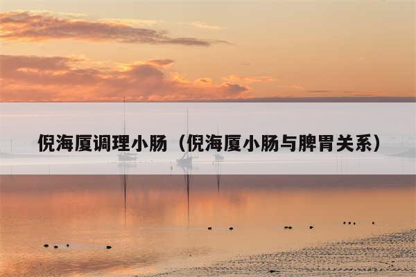 倪海厦调理小肠（倪海厦小肠与脾胃关系）