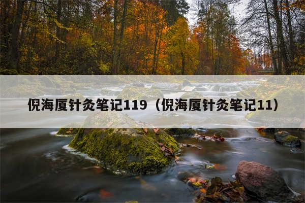 倪海厦针灸笔记119（倪海厦针灸笔记11）