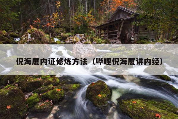 倪海厦内证修炼方法（哔哩倪海厦讲内经）