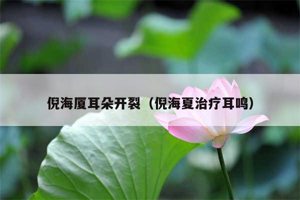 倪海厦耳朵开裂（倪海夏治疗耳鸣）