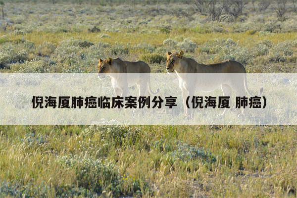 倪海厦肺癌临床案例分享（倪海厦 肺癌）