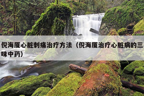 倪海厦心脏刺痛治疗方法（倪海厦治疗心脏病的三味中药）