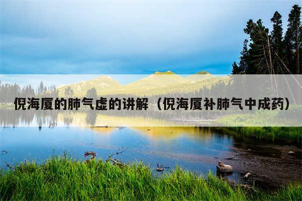 倪海厦的肺气虚的讲解（倪海厦补肺气中成药）