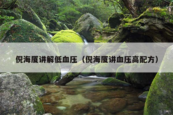 倪海厦讲解低血压（倪海厦讲血压高配方）