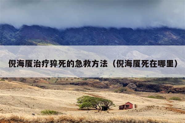 倪海厦治疗猝死的急救方法（倪海厦死在哪里）