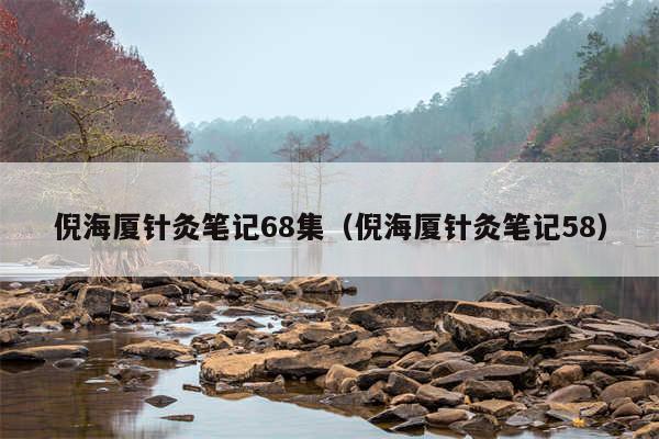 倪海厦针灸笔记68集（倪海厦针灸笔记58）