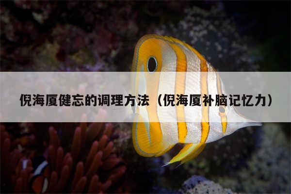 倪海厦健忘的调理方法（倪海厦补脑记忆力）