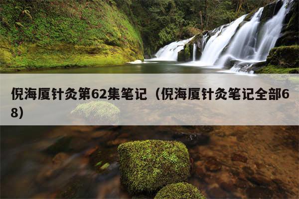 倪海厦针灸第62集笔记（倪海厦针灸笔记全部68）