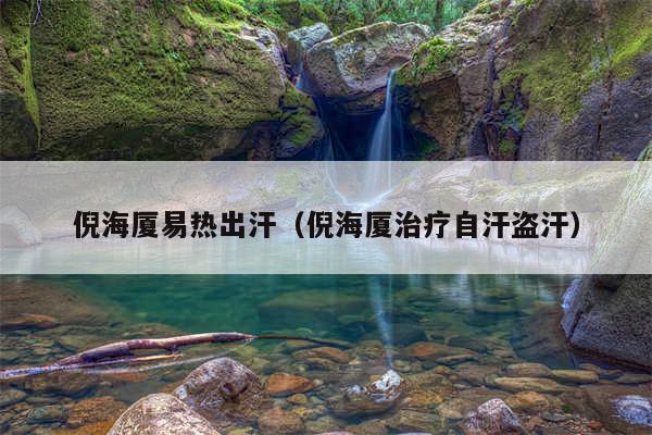 倪海厦易热出汗（倪海厦治疗自汗盗汗）