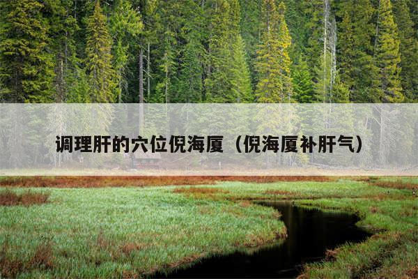 调理肝的穴位倪海厦（倪海厦补肝气）