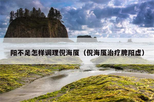 阳不足怎样调理倪海厦（倪海厦治疗脾阳虚）