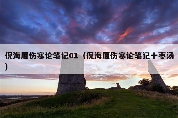 倪海厦伤寒论笔记01（倪海厦伤寒论笔记十枣汤）
