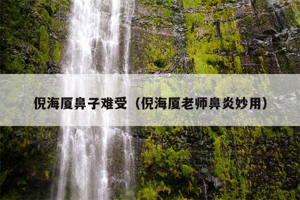 倪海厦鼻子难受（倪海厦老师鼻炎妙用）