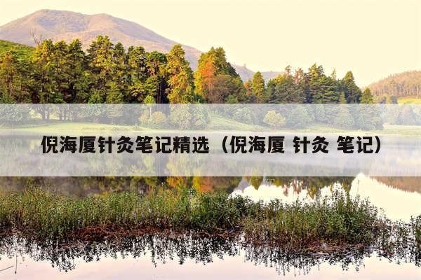 倪海厦针灸笔记精选（倪海厦 针灸 笔记）