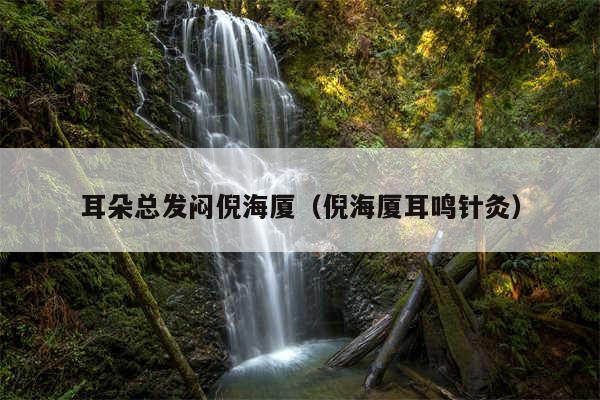 耳朵总发闷倪海厦（倪海厦耳鸣针灸）
