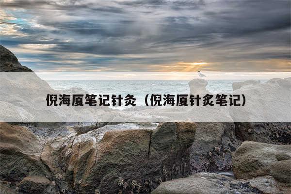 倪海厦笔记针灸（倪海厦针炙笔记）