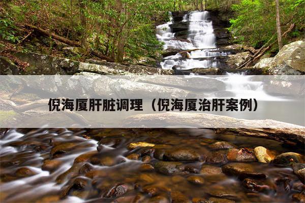 倪海厦肝脏调理（倪海厦治肝案例）