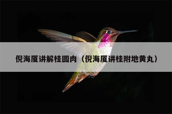 倪海厦讲解桂圆肉（倪海厦讲桂附地黄丸）