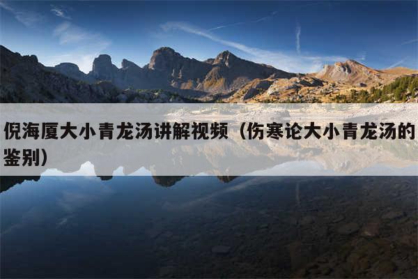 倪海厦大小青龙汤讲解视频（伤寒论大小青龙汤的鉴别）