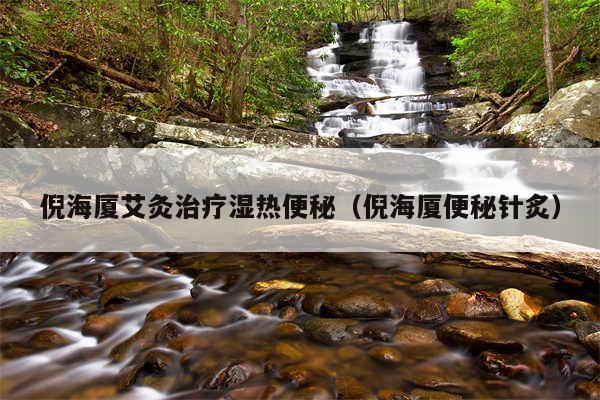 倪海厦艾灸治疗湿热便秘（倪海厦便秘针炙）